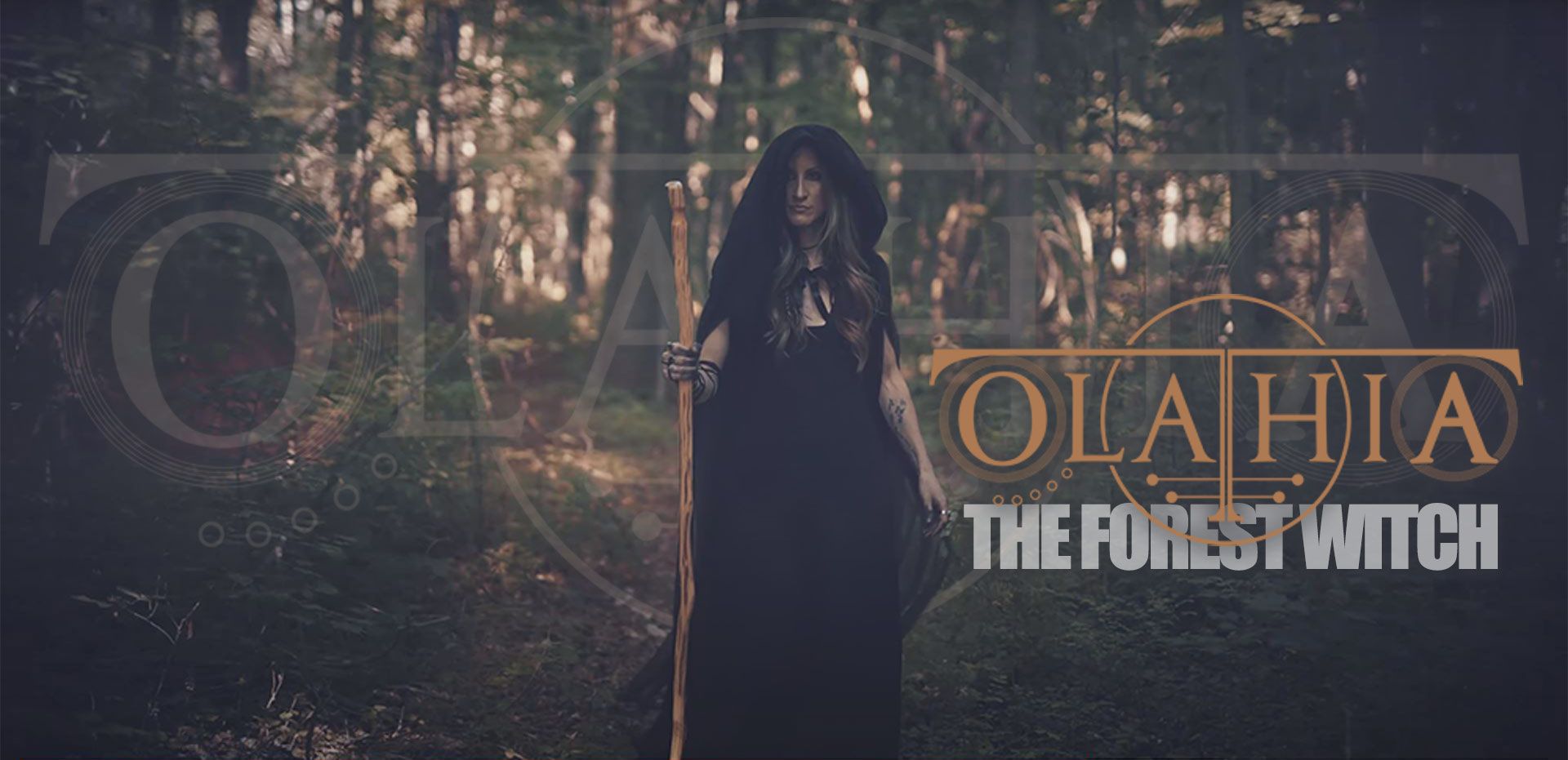 forestwitch-large-web1F4D05B9-17C2-2499-3DA9-AB4F93A69D26.jpg